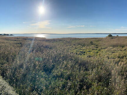 23-09-24 17-30-47 7411